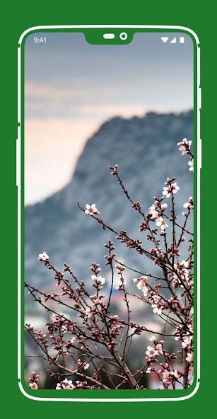 Run android online APK Beautiful Spring Wallpapers from MyAndroid or emulate Beautiful Spring Wallpapers using MyAndroid Run android online APK Beautiful Spring Wallpapers from MyAndroid or emulate Beautiful Spring Wallpapers using MyAndroid