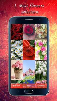 Emulate Android APK Beauty: Flowers Emulate Android APK Beauty: Flowers