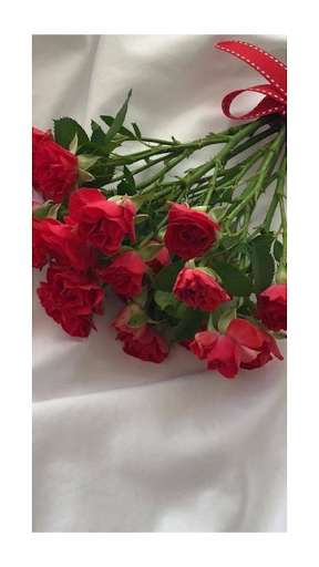 Run android online APK Beautyfull Rose Wallpaper from MyAndroid or emulate Beautyfull Rose Wallpaper using MyAndroid Run android online APK Beautyfull Rose Wallpaper from MyAndroid or emulate Beautyfull Rose Wallpaper using MyAndroid