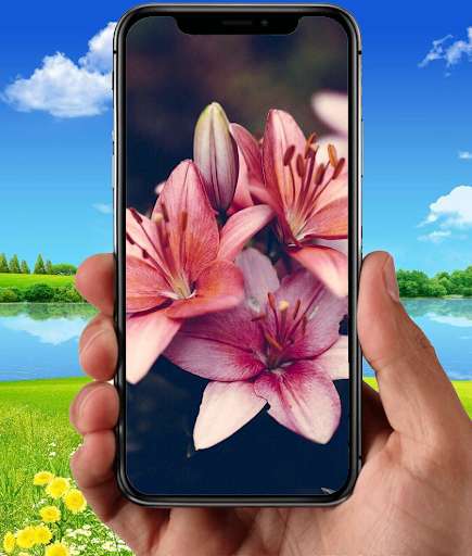 Run android online APK Beauty Lily Wallpapers from MyAndroid or emulate Beauty Lily Wallpapers using MyAndroid Run android online APK Beauty Lily Wallpapers from MyAndroid or emulate Beauty Lily Wallpapers using MyAndroid