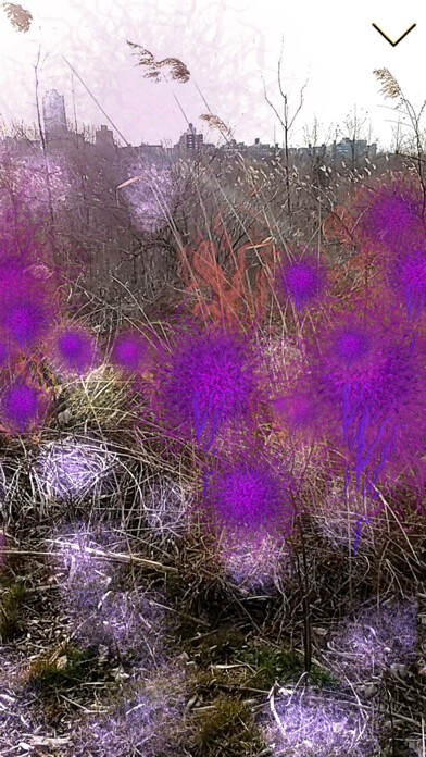 Emulate iPhone app Becoming Biodiversity using MyAndroid Emulate iPhone app Becoming Biodiversity using MyAndroid