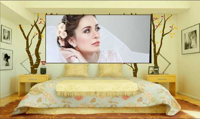 Emulate Android APK Bedroom Frames