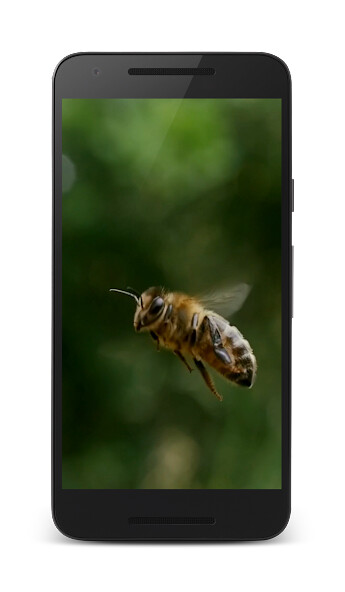 Run android online APK Bees 3D Live Wallpapers from MyAndroid or emulate Bees 3D Live Wallpapers using MyAndroid Run android online APK Bees 3D Live Wallpapers from MyAndroid or emulate Bees 3D Live Wallpapers using MyAndroid