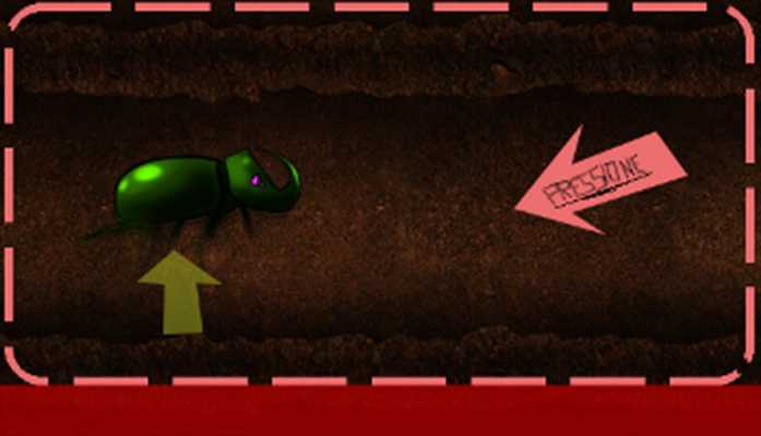 Emulate Android APK Beetle Escape Emulate Android APK Beetle Escape