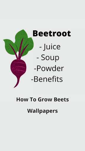 Run android online APK Beetroot from MyAndroid or emulate Beetroot using MyAndroid Run android online APK Beetroot from MyAndroid or emulate Beetroot using MyAndroid
