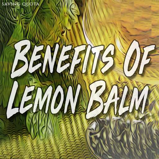 Run android online APK Benefits Of Lemon Balm from MyAndroid or emulate Benefits Of Lemon Balm using MyAndroid Run android online APK Benefits Of Lemon Balm from MyAndroid or emulate Benefits Of Lemon Balm using MyAndroid