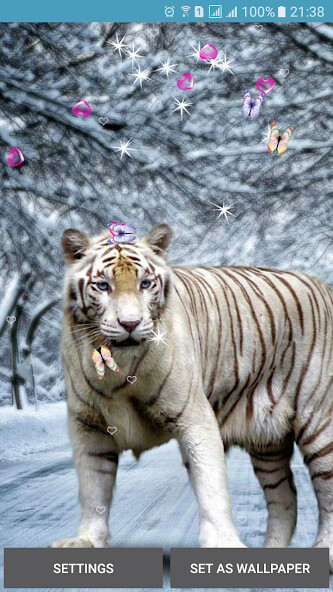 Emulate Android APK Bengal Tiger Live Wallpaper Emulate Android APK Bengal Tiger Live Wallpaper