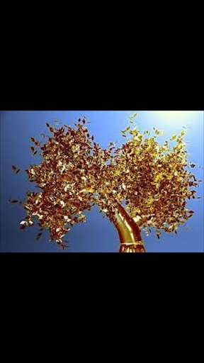 Run android online APK BERKEBUN EMAS from MyAndroid or emulate BERKEBUN EMAS using MyAndroid