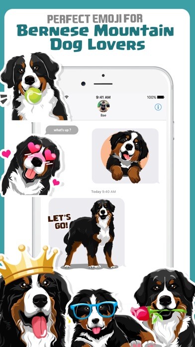 Emulate iPhone app Bernese Mountain Dog Emoji using MyAndroid