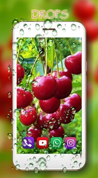 Run android online APK Berries and Fruits from MyAndroid or emulate Berries and Fruits using MyAndroid Run android online APK Berries and Fruits from MyAndroid or emulate Berries and Fruits using MyAndroid