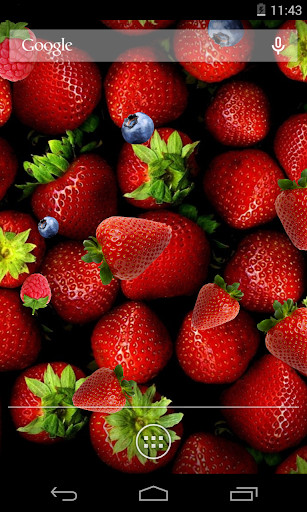 Run android online APK Berries Live Wallpaper from MyAndroid or emulate Berries Live Wallpaper using MyAndroid