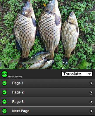 Run android online APK Best bait Goldfish from MyAndroid or emulate Best bait Goldfish using MyAndroid Run android online APK Best bait Goldfish from MyAndroid or emulate Best bait Goldfish using MyAndroid