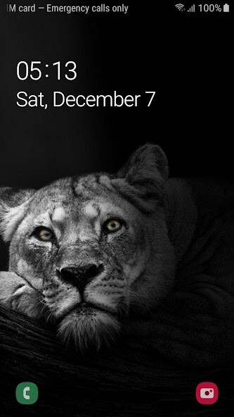 Run android online APK Best Black Lion Wallpaper FHD from MyAndroid or emulate Best Black Lion Wallpaper FHD using MyAndroid Run android online APK Best Black Lion Wallpaper FHD from MyAndroid or emulate Best Black Lion Wallpaper FHD using MyAndroid