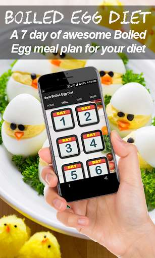 Run android online APK Best Boiled Egg Diet from MyAndroid or emulate Best Boiled Egg Diet using MyAndroid