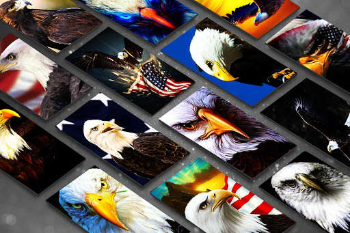 Run android online APK Best Eagle Wallpaper HD from MyAndroid or emulate Best Eagle Wallpaper HD using MyAndroid Run android online APK Best Eagle Wallpaper HD from MyAndroid or emulate Best Eagle Wallpaper HD using MyAndroid