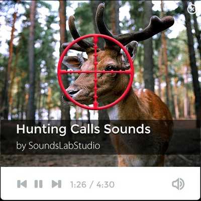Emulate Android APK Best Hunting Calls