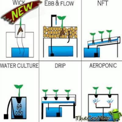 Emulate Android APK Best Hydroponic Farming Ideas Emulate Android APK Best Hydroponic Farming Ideas