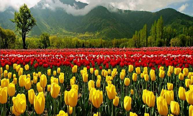 Emulate Android APK Best Kashmiri Songs Emulate Android APK Best Kashmiri Songs