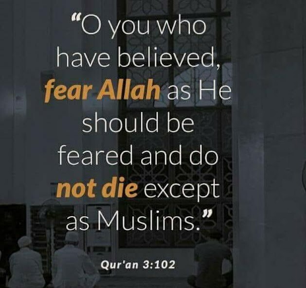 Run android online APK Best Life Muslim Quotes from MyAndroid or emulate Best Life Muslim Quotes using MyAndroid Run android online APK Best Life Muslim Quotes from MyAndroid or emulate Best Life Muslim Quotes using MyAndroid