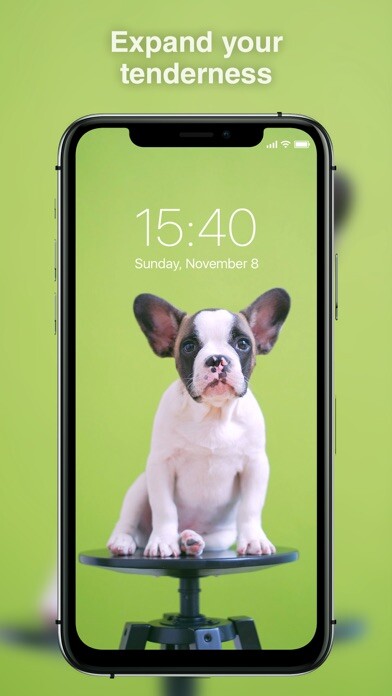 Emulate iPhone app Best Live Wallpapers 4K using MyAndroid Emulate iPhone app Best Live Wallpapers 4K using MyAndroid