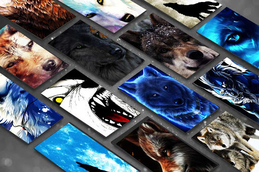Run android online APK Best Wolf Wallpaper HD from MyAndroid or emulate Best Wolf Wallpaper HD using MyAndroid Run android online APK Best Wolf Wallpaper HD from MyAndroid or emulate Best Wolf Wallpaper HD using MyAndroid