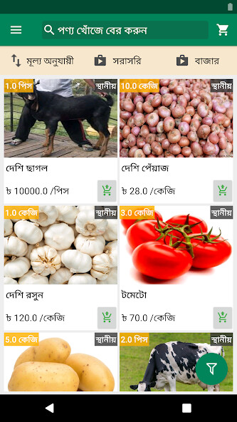 Run android online APK Beta-eNam from MyAndroid or emulate Beta-eNam using MyAndroid Run android online APK Beta-eNam from MyAndroid or emulate Beta-eNam using MyAndroid