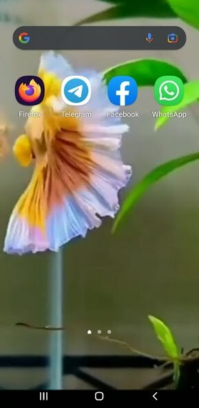 Run android online APK Betta Fish Live Wallpaper from MyAndroid or emulate Betta Fish Live Wallpaper using MyAndroid