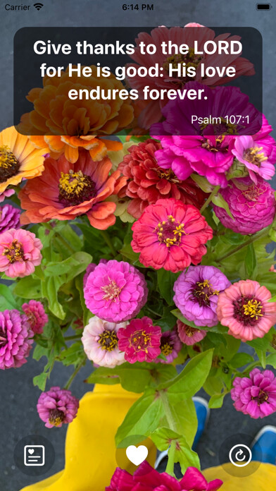 Emulate iPhone app Bible Quotes Widget using MyAndroid Emulate iPhone app Bible Quotes Widget using MyAndroid