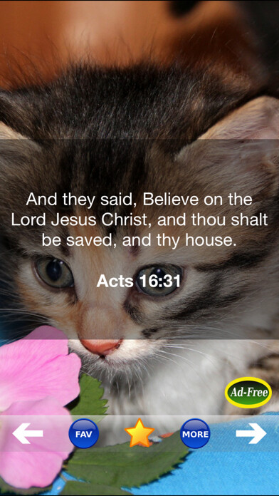 Emulate iPhone app Bible Study for Kids FREE! Inspirational Verse of the Day App With Daily Devotionals & Inspirations! using MyAndroid