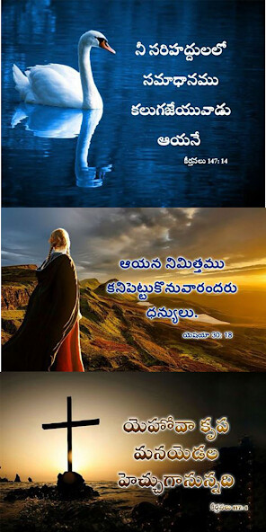 Run android online APK Bible Telugu Quotes from MyAndroid or emulate Bible Telugu Quotes using MyAndroid