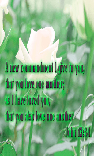 Run android online APK Bible verses about Love from MyAndroid or emulate Bible verses about Love using MyAndroid