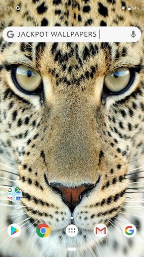 Run android online APK Big Cat Wallpaper from MyAndroid or emulate Big Cat Wallpaper using MyAndroid Run android online APK Big Cat Wallpaper from MyAndroid or emulate Big Cat Wallpaper using MyAndroid