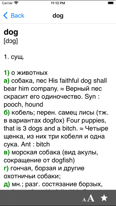 Emulate iPhone app Big English-Russian dictionary using MyAndroid