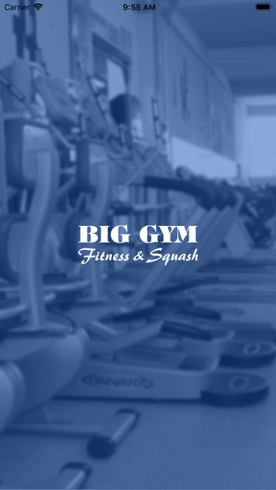 Emulate iPhone app Big Gym using MyAndroid