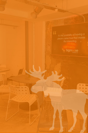 Run android online APK bigmoose coffee from MyAndroid or emulate bigmoose coffee using MyAndroid