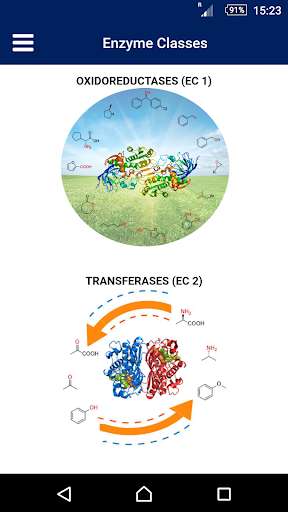 Run android online APK Biocascades - Enzymes from MyAndroid or emulate Biocascades - Enzymes using MyAndroid