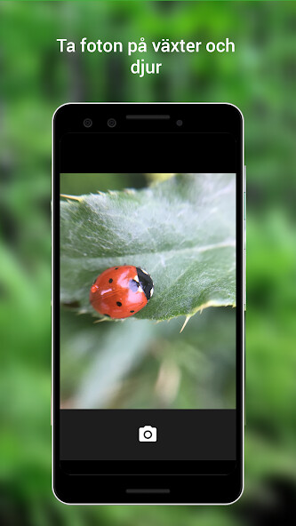 Run android online APK Biologg - naturen som ett spel from MyAndroid or emulate Biologg - naturen som ett spel using MyAndroid Run android online APK Biologg - naturen som ett spel from MyAndroid or emulate Biologg - naturen som ett spel using MyAndroid