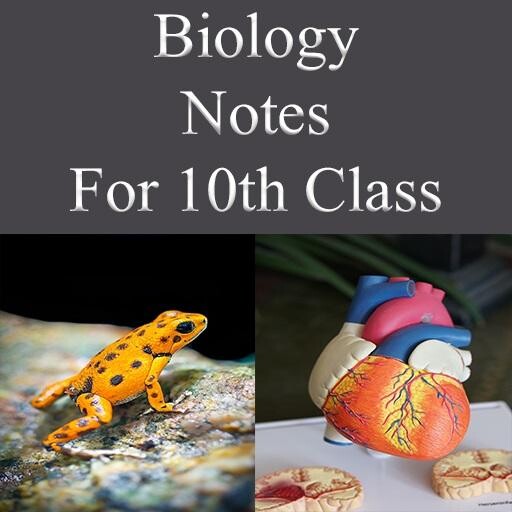 Run android online APK Biology Notes For 10th Class from MyAndroid or emulate Biology Notes For 10th Class using MyAndroid Run android online APK Biology Notes For 10th Class from MyAndroid or emulate Biology Notes For 10th Class using MyAndroid