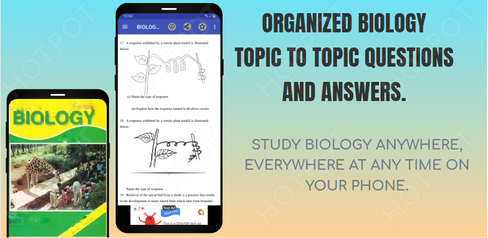 Run android online APK Biology; Topical Questions from MyAndroid or emulate Biology; Topical Questions using MyAndroid