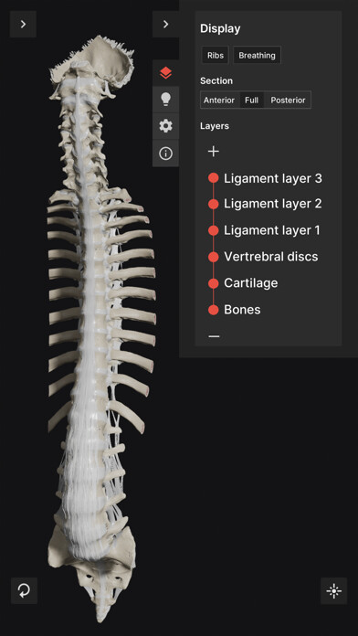 Run android online APK Biomechanics of the Spine Lite from MyAndroid or emulate Biomechanics of the Spine Lite using MyAndroid