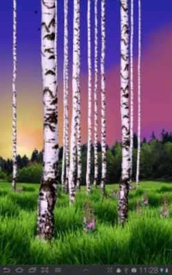 Emulate Android APK Birch Wood Free
