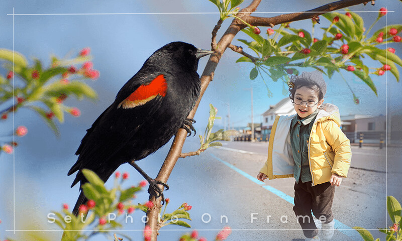 Run android online APK Bird And Animals Photo Frame from MyAndroid or emulate Bird And Animals Photo Frame using MyAndroid Run android online APK Bird And Animals Photo Frame from MyAndroid or emulate Bird And Animals Photo Frame using MyAndroid