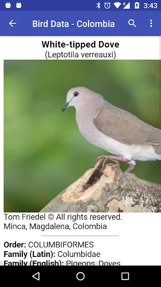 Run android online APK Bird Data - Colombia from MyAndroid or emulate Bird Data - Colombia using MyAndroid Run android online APK Bird Data - Colombia from MyAndroid or emulate Bird Data - Colombia using MyAndroid