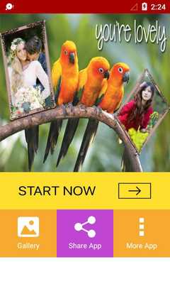 Emulate Android APK Bird Dual Photo Frames Emulate Android APK Bird Dual Photo Frames