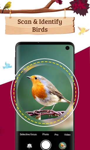 Run android online APK Bird finder: Identify Birds with photo Bird ID from MyAndroid or emulate Bird finder: Identify Birds with photo Bird ID using MyAndroid Run android online APK Bird finder: Identify Birds with photo Bird ID from MyAndroid or emulate Bird finder: Identify Birds with photo Bird ID using MyAndroid