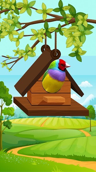 Run android online APK Bird Games – Jungle Adventure from MyAndroid or emulate Bird Games – Jungle Adventure using MyAndroid