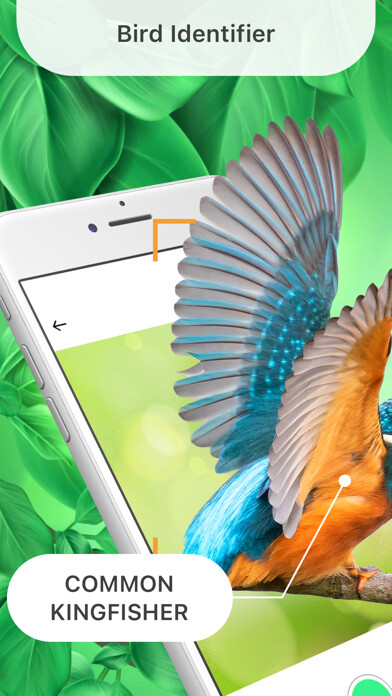 Emulate iPhone app Bird Identifier Identify Bugs using MyAndroid Emulate iPhone app Bird Identifier Identify Bugs using MyAndroid