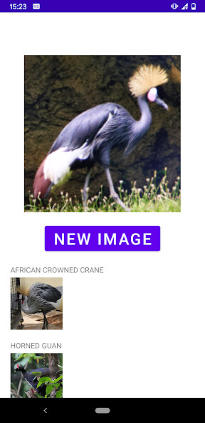 Run android online APK Bird Identifier from MyAndroid or emulate Bird Identifier using MyAndroid