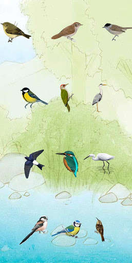 Run android online APK Birdify from MyAndroid or emulate Birdify using MyAndroid