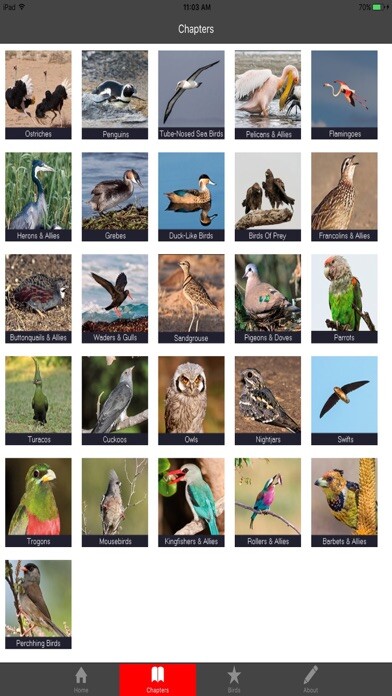 Emulate iPhone app Birding In Southern Africa using MyAndroid
